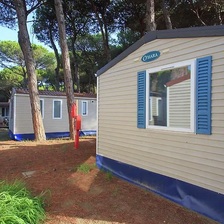 Tidy Chalet In A Pine Forest Near The Adriatic Sea Чезенатико
